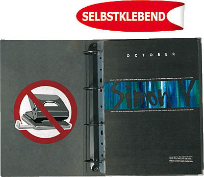 3L Abheftstreifen/8804-25 295 mm /DIN A4 transparent PP Inh.25