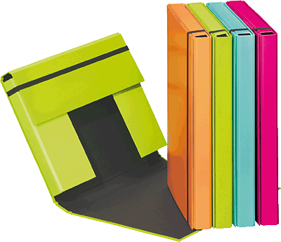 Aulfes Sammelbox A4/21308-75 lime