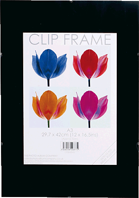 TPAC Bildhalter, rahmenlos/CF3042-NG 30x42 cm [A3]