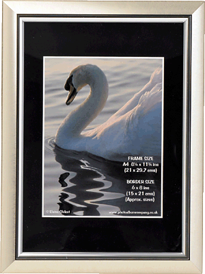 TPAC Bilderrahmen Certificate/PELA4SIL-NG DIN A4 silber Non Glass