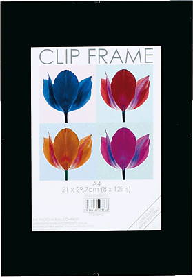 TPAC Bildhalter, rahmenlos/CF2130-NG 21x30 cm [A4]