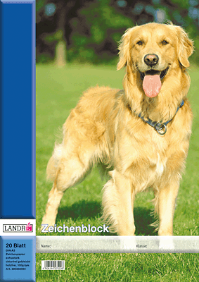 Landre Zeichenblock/390401005 DIN A4 100 g/qm Inh.10 Blatt