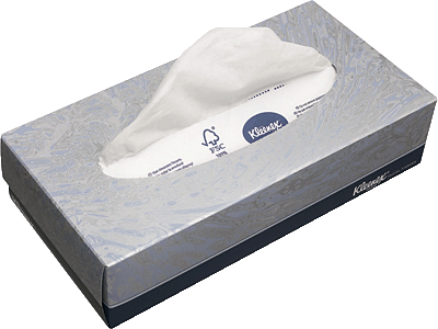 Kleenex Kosmetiktücher Standard-Box/8835 216x186 mm weiß 2-lagig Inh.100 Tücher