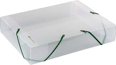 Exacompta Dokumentenbox Kristall/5982E 60 mm transparent