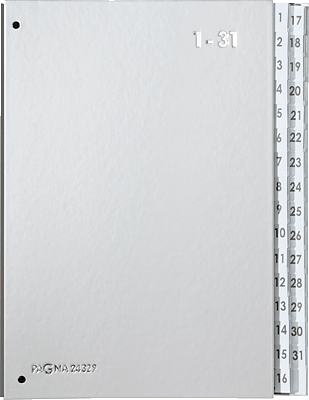 Pagna Pultordner 1-31/24329-14 265x340x40mm silber 1-31, 32-teilig