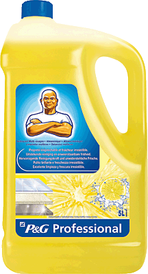 Mr. Proper Allzweckreiniger Citrus/5413149514027 Mr. Proper / Citrus Inh.5000 ml