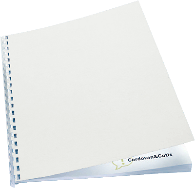 GBC/ibico ProView Kartondeckel, A4, 250g/m²/CE040070 weiss Inh.100