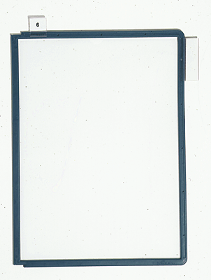 Durable Sichttafel/5606-05 für DIN A4 grün Inh.5
