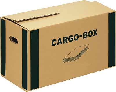 Smartboxpro Bücherbox/118700122 560 x 330 x 293 mm braun/grün 585 x 300 x 350 mm