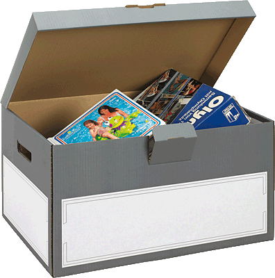 Smartboxpro Klappdeckel-Container/152591124 B555xH295xT380 mm anthrazit/weiß