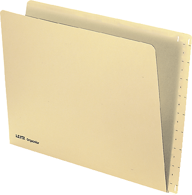 Leitz Einstellmappe Orgacolor 2432/2432-00-11 DIN A4 chamois 260 g/qm Inh.100