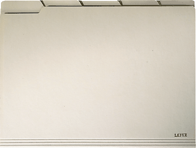 Leitz Einstellmappe mit Tab 2434/2434-00-11 DIN A4 chamois 200 g/qm Inh.100