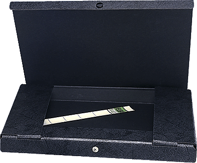 Elba Dokumentenbox schwarz/31411SW B315xH240xT15 mm Hartpappe (RC) Inh.80 Blatt
