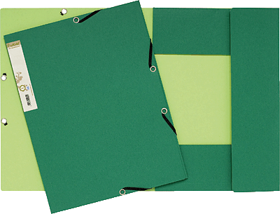 Exacompta Eckspannmappe/56983E DIN A4 dunkelgrün/hellgrün 380 g/qm