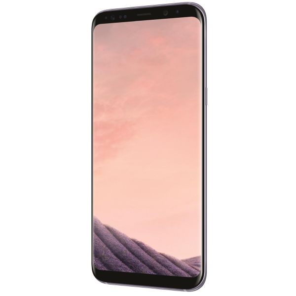 Samsung Galaxy S8+, 64 GB, Orchid Grey - Extrem günstig