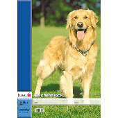 Landre Zeichenblock/390401005 DIN A4 100 g/qm Inh.10 Blatt