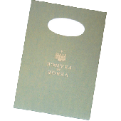 Lalo Block Vergé de France/12706L DIN A4 champagne 100 g/qm