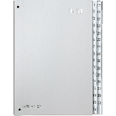 Pagna Pultordner 1-31/24329-14 265x340x40mm silber 1-31, 32-teilig