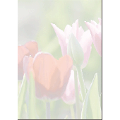 sigel Motiv-Papier/DP462 A4 Spring fever 90 g Inh.25