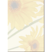 sigel Motiv-Papier/DP465 A4 Finesse 90 g Inh.25