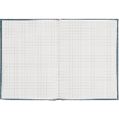 K + E Geschäftsbuch Deckenband/8616222-100P96 DIN A6 hellblau kariert 80 g/qm Inh.96 Blatt