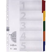 Pagna Mylar-Register/31000-08 weiß 5-teilig