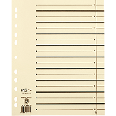 Pagna Trennblätter/44108-09 300x245x27 chamois 230g/qm Inh.100