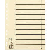 Pagna Trennblätter /44107-09 240x300x3mm chamois Inh.10