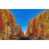LG 75SK8100 189cm 75" 4K UHD Smart Fernseher