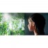 LG 75SK8100 189cm 75" 4K UHD Smart Fernseher